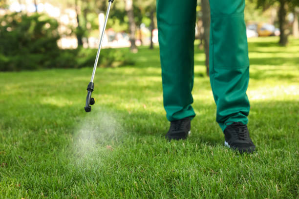 Best Pest Inspection Near Me  in Goodwater, AL