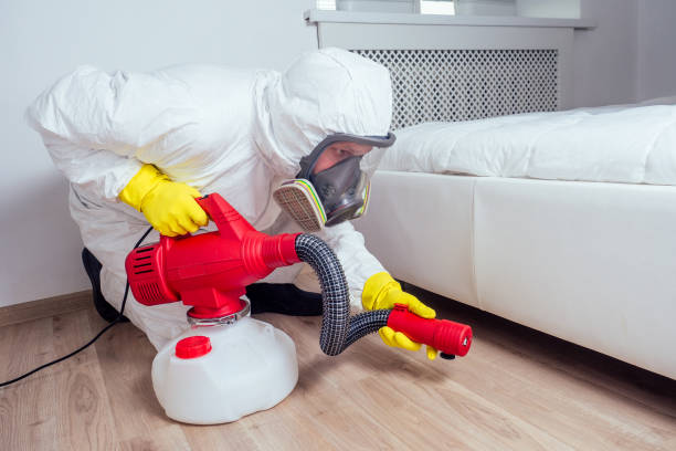 Best Rat Extermination Near Me  in Goodwater, AL