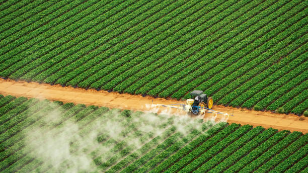 Best Pest Control Near Me  in Goodwater, AL