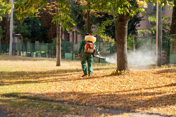 Best Residential Pest Control  in Goodwater, AL