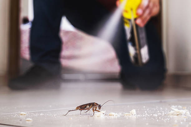 Best Local Pest Control Services  in Goodwater, AL
