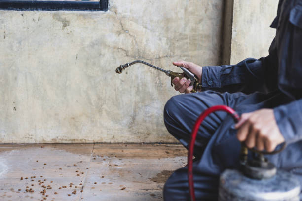 Best Wasp Removal Services  in Goodwater, AL